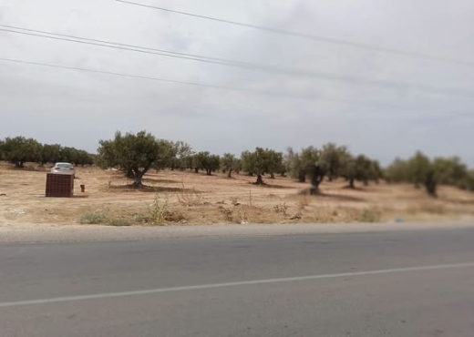 un terrain à vocation industrielle - Bien immobilier à {"id":15,"country_id":219,"name":"MONASTIR","slug":"monastir"} - Agence Immobilière Maps Immo