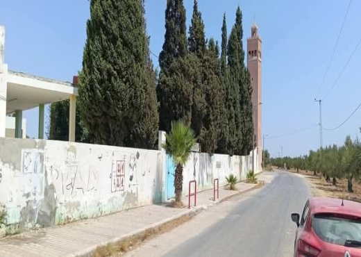 للبيع: 54زيتونة حجم كبير في الشواشين - Bien immobilier à {"id":15,"country_id":219,"name":"MONASTIR","slug":"monastir"} - Agence Immobilière Maps Immo