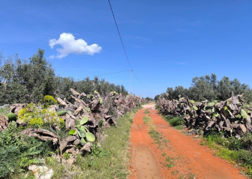 A vendre terrain agricole a