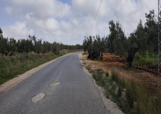 A vendre terrain agricole a Ksar Hlel - Bien immobilier à {"id":15,"country_id":219,"name":"MONASTIR","slug":"monastir"} - Image 3 - Agence Immobilière New Way