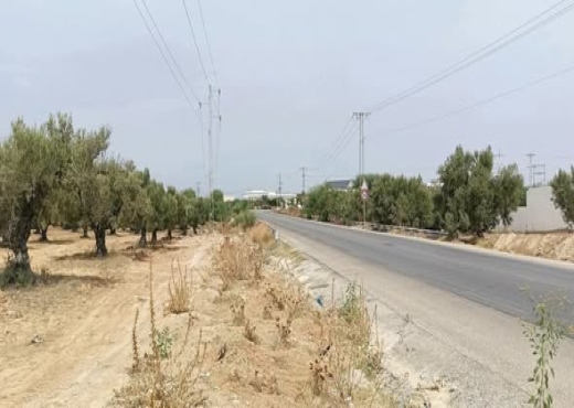 un terrain à vocation industrielle - Bien immobilier à {"id":15,"country_id":219,"name":"MONASTIR","slug":"monastir"} - Image 3 - Agence Immobilière New Way