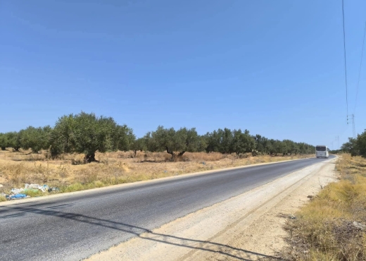 Terrain agricole a vendre à Moknine - Bien immobilier à {"id":15,"country_id":219,"name":"MONASTIR","slug":"monastir"} - Image 3 - Agence Immobilière New Way