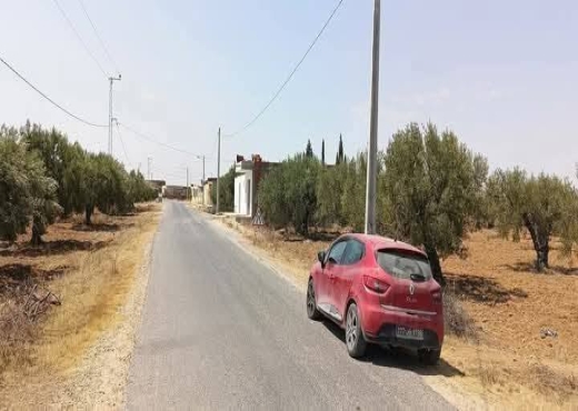 À vendre – Terrain agricole exceptionnel à Moknine - Bien immobilier à {"id":15,"country_id":219,"name":"MONASTIR","slug":"monastir"} - Agence Immobilière Maps Immo