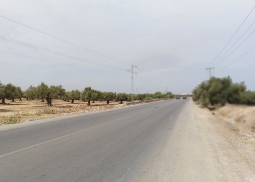 15000/للبيع: أرض صبغة صناعية/ فلاحية - Bien immobilier à {"id":12,"country_id":219,"name":"MAHDIA","slug":"mahdia"} - Image 3 - Agence Immobilière New Way