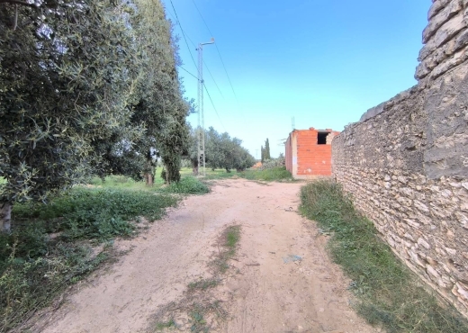 A vendre terrain agricole a Monastir - Bien immobilier à {"id":15,"country_id":219,"name":"MONASTIR","slug":"monastir"} - Agence Immobilière Maps Immo